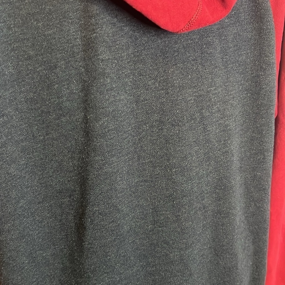 MM192 American eagle outfitters two tone screen printed hoodie - Picture 6 of 10